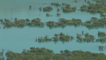 Flood plain under flood. Wet Season. Tropical Australia. Dampier Peninsula. Trees submerged. Flooded