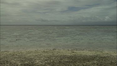 Coast low tides