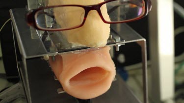 Artificial mouth moved by a machine