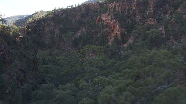 Forested mountain peaks and valleys in the Flinder Ranges