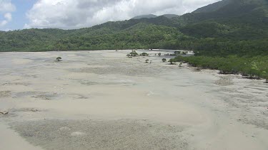 Aerial view of the beach and forested coast in Daintree National Park