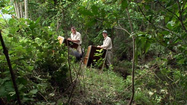 Park rangers releasing captured and relocated cassowaries