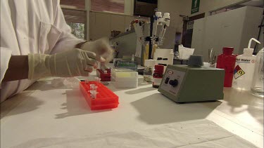 Close up shot in science laboratory scientist checking biological samples