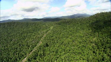 Aerial over rainforest near Mission Beach, Queensland,  showing road cuts through the habitat