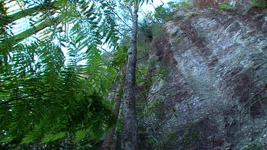 Track to Twin Falls Wall pan canopy UW 1