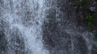 Araucaria Falls from base z.back 4