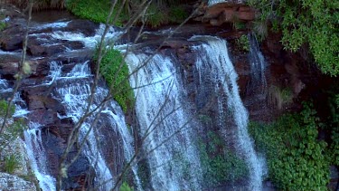 Queen Mary Falls from top among vegetation z.back 1