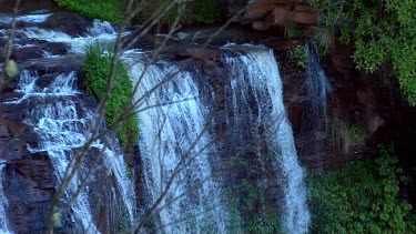 Queen Mary Falls from top among vegetation z.back 2