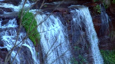 Queen Mary Falls from top among vegetation z.back wider