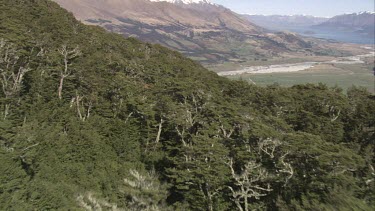 Aerial of Mount Everest - in the lower zone on Mt. Everest many plants thrive including birch, juniper, blue pines, firs, bamboo and rhododendro