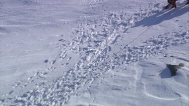 Aerial of Mount Everest: Climbers climbing