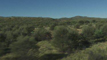 Aerial -Kimberley Region - red kangaroo hopping