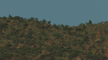 Aerial -Kimberley Region  - moving up  - moon appears