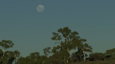 Aerial -Kimberley Region  - moon in sky