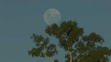 Aerial -Kimberley Region  - moon in sky