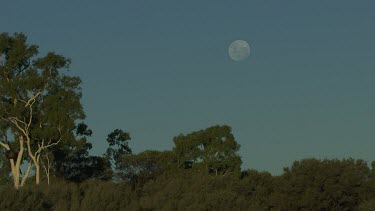 Aerial -Kimberley Region  - moon in sky