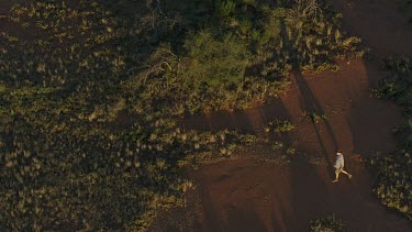 Aerial -Kimberley Region  - man walking in bush land
