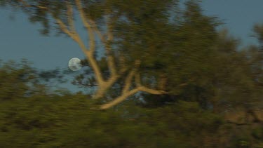 Aerial -Kimberley Region  - moon in sky