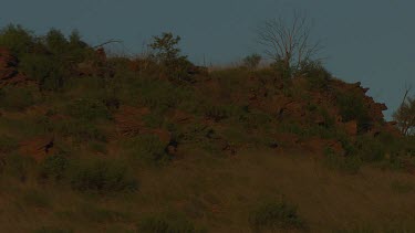 Aerial -Kimberley Region