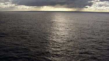 Aerial - Sydney - Tasman Ocean