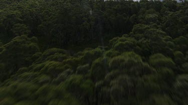 Sydney to Blue Mountains - Aerial - Blue Mountain Region