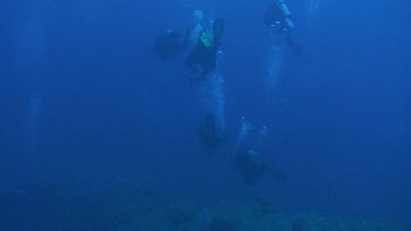 People diving near Elphinstone in the Red Sea