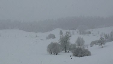 Snow falling on trees in the French Alps