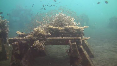 Small fish living on an artificial reef in the Bali Sea