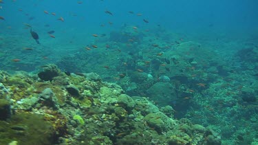 Flying over the coral reef of the Bali Sea