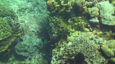 Flying over the coral reef of the Bali Sea