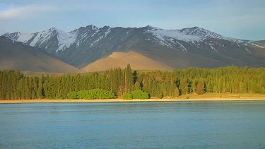 Trees next to Lake Tekapo, New Zealand