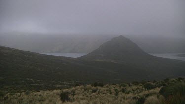 Wind and mist on Campbell Island (NZ)