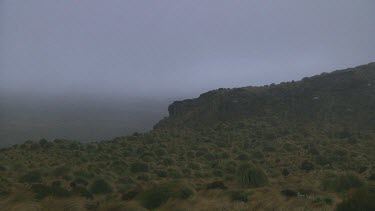 Wind and mist on Campbell Island (NZ)