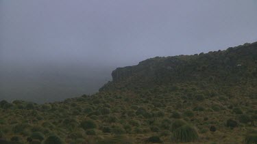 Wind and mist on Campbell Island (NZ)