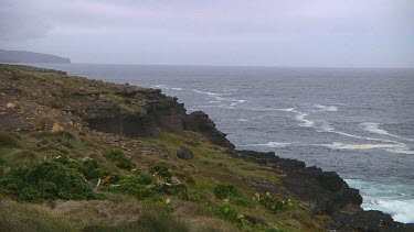 Wind and mist on Campbell Island (NZ)