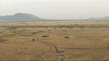 Aerial view of Serengeti National Park