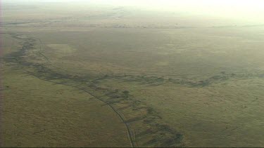 Aerial view of Serengeti National Park