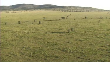 Aerial view of Serengeti National Park