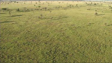 Aerial view of Serengeti National Park