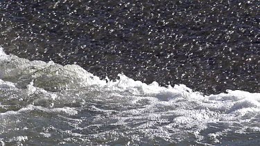 Barrage on Sarre River, Sarrebourg in Lorrraine, in the East of France, Slow motion