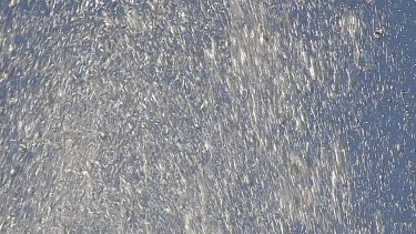 Water Jets, Fountain at Sarrebourg in Lorraine, the East of France, Slow Motion