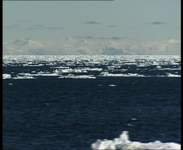 Track along sea. Large chunks of ice floating.