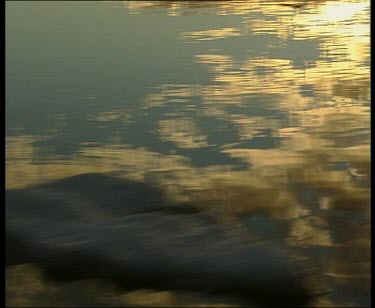 Clouds reflected in still sea, ice floats past