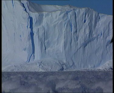 Emperor penguin slowly waddles across ice.