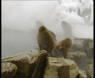 Babies playing at side of hot spring