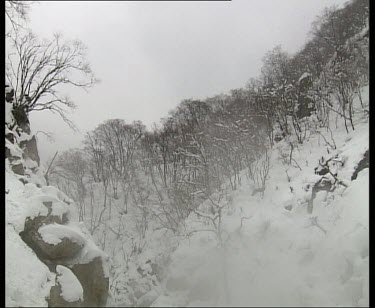 From snow covered valley with barren trees steam rising in foreground to hot spring with monkeys grooming.