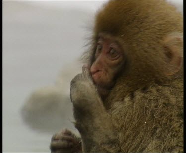 Baby sucking fingers at side of hot spring. Steam rising.