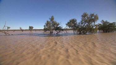 Tracking over flooded waters of desert plain during wet season.