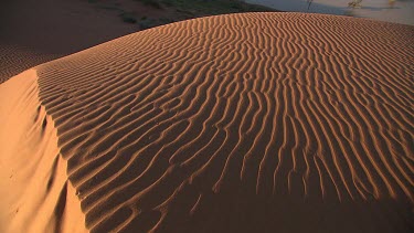 Tilt up from ripples of sand on sand dune, Simpson Desert.