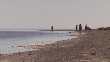 Edge of Lake Eyre, flooded. Small group of four people in distance